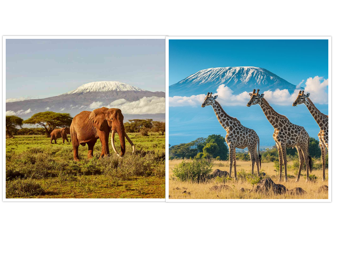 WINGS OVER KENYA FLY-IN SAFARI